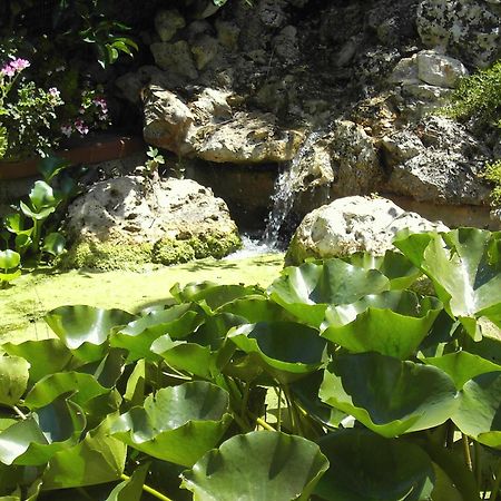 مبيت وإفطار نوتشي La Cascata المظهر الخارجي الصورة
